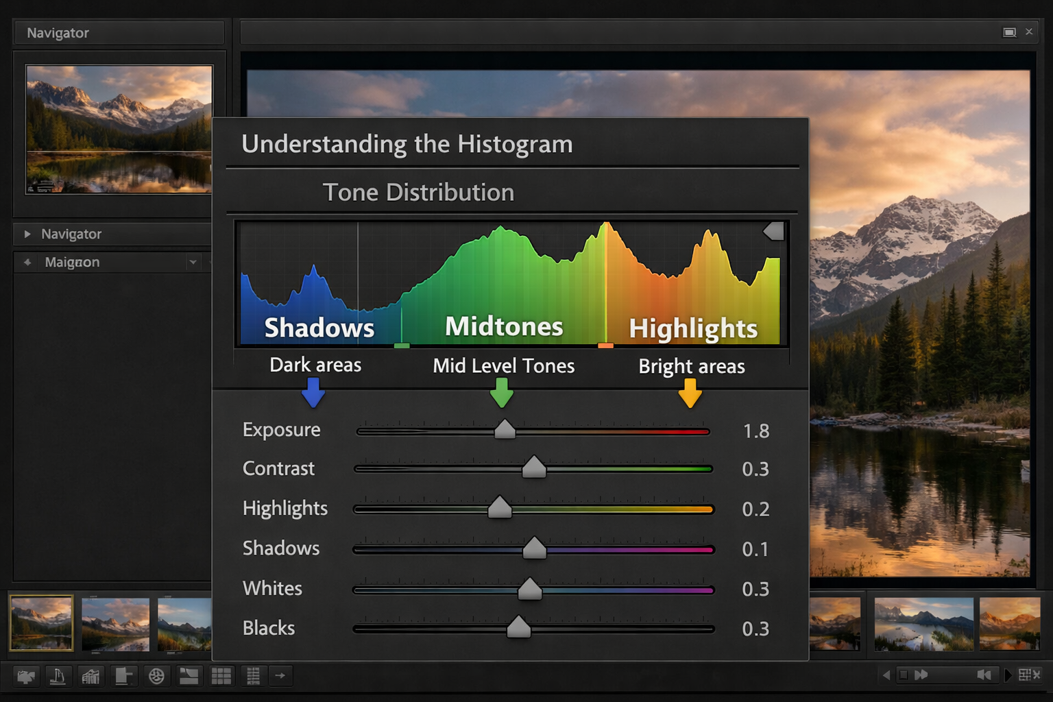 Fotograf duzenleme yaziliminda histogram grafigi ve ton dagilimi analizi ekran goruntusu